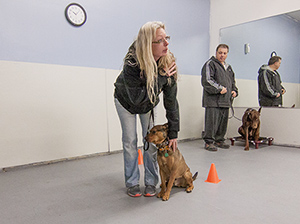 basic-obedience-training
